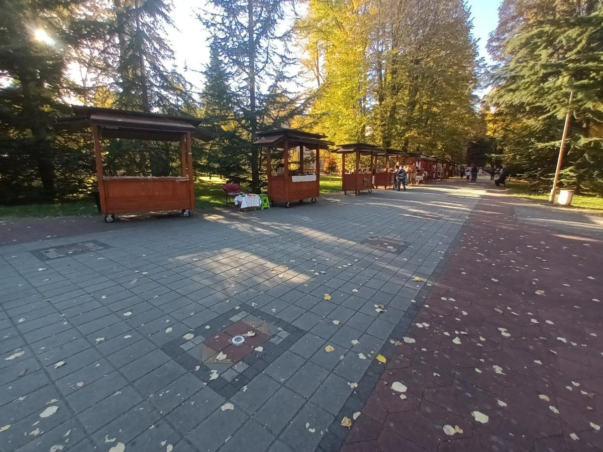 Apartman Lavanda Banja Koviljača Exterior foto