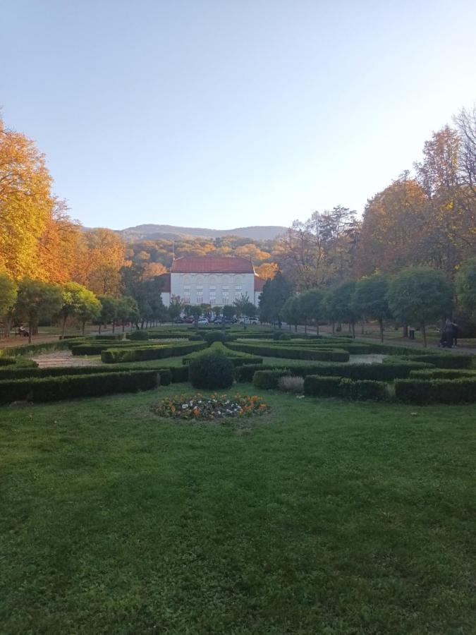 Apartman Lavanda Banja Koviljača Exterior foto