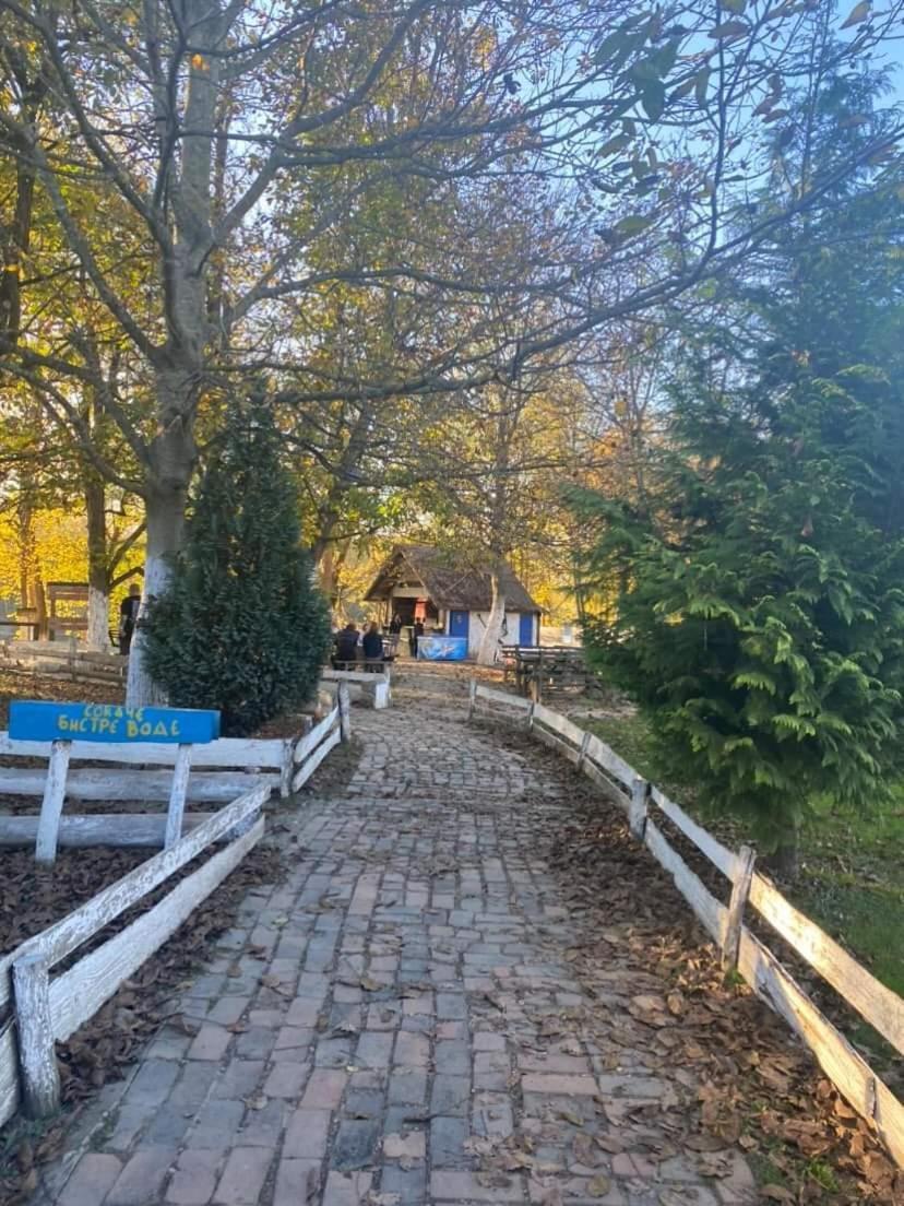Apartman Lavanda Banja Koviljača Exterior foto