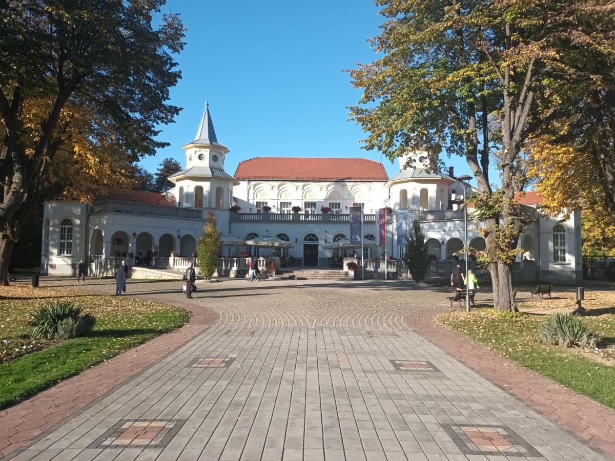 Apartman Lavanda Banja Koviljača Exterior foto