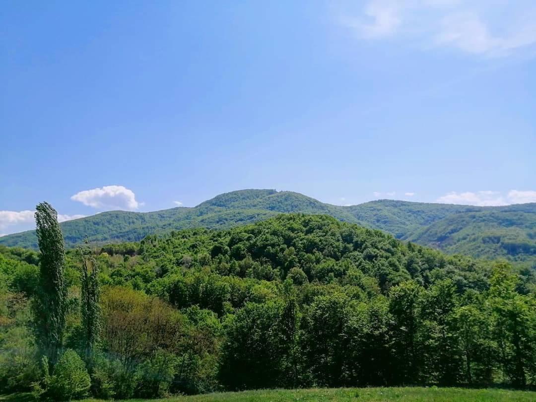 Apartman Lavanda Banja Koviljača Exterior foto